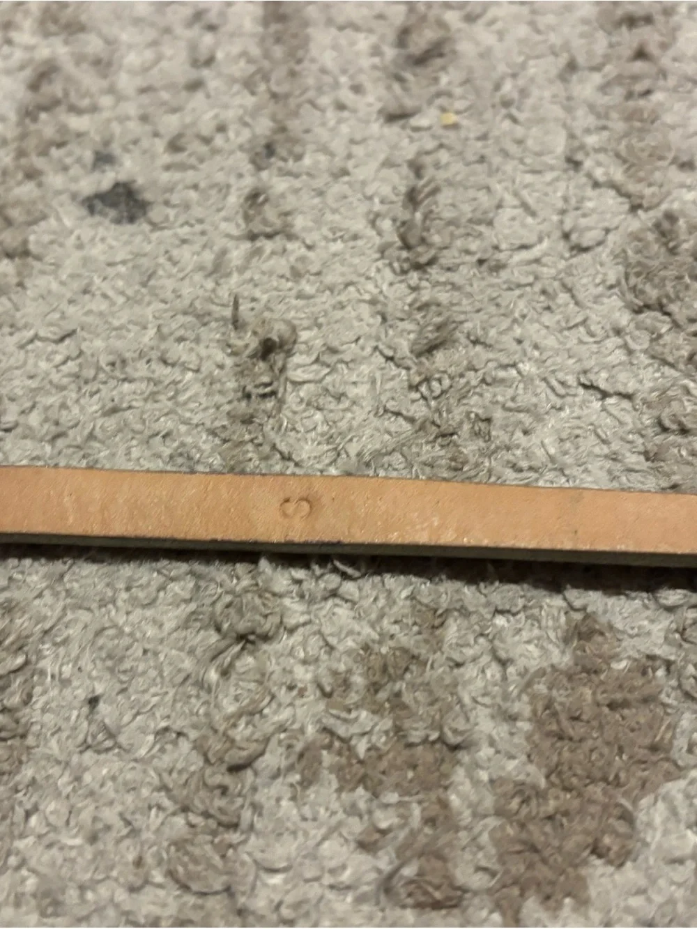 J. Crew Metallic Slim Belt in Silver - Picture 7 of 7